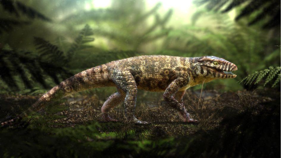 Ilustração mostra como seria um dinossauro crocodyliforme (Rodolfo Nogueira / Reprodução)