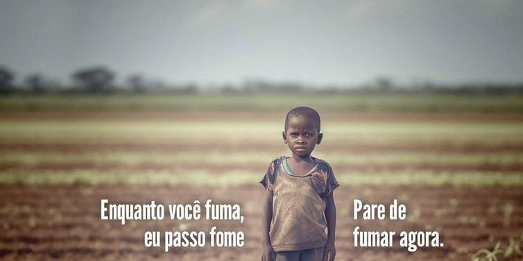 (Divulgação)