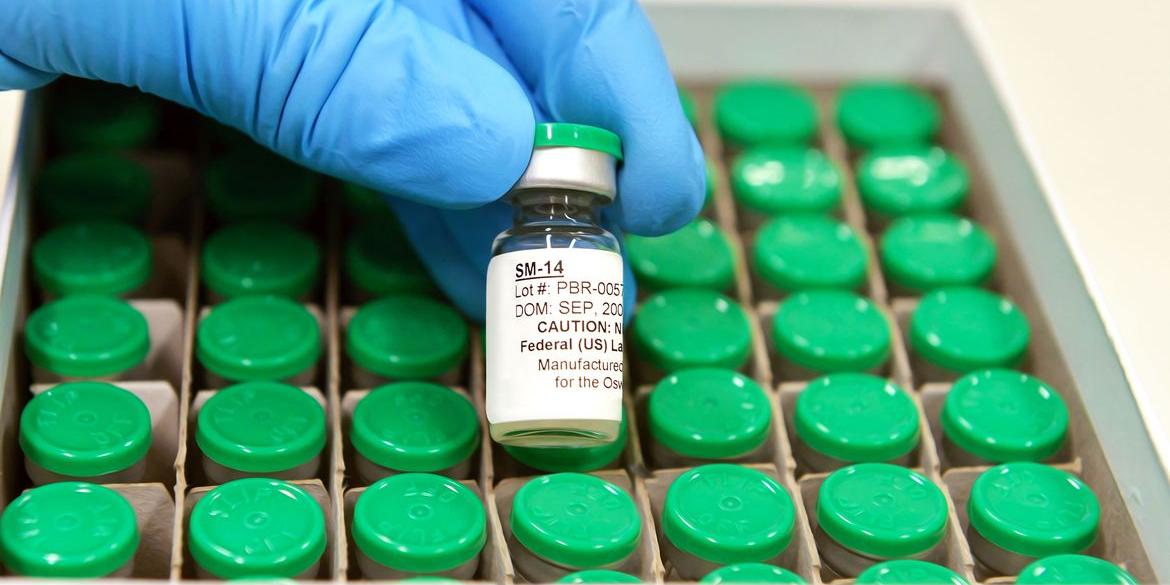 Lote "Sm14" da vacina Schistovac foi usado em teste de fase 2 nos EUA (Gutemberg Brito / IOC/Fiocruz / Divulgação)