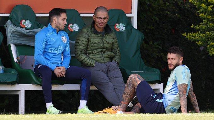 Alex aprimora a carreira no Palmeiras de Abel Ferreira (Divulgação / Palmeiras)