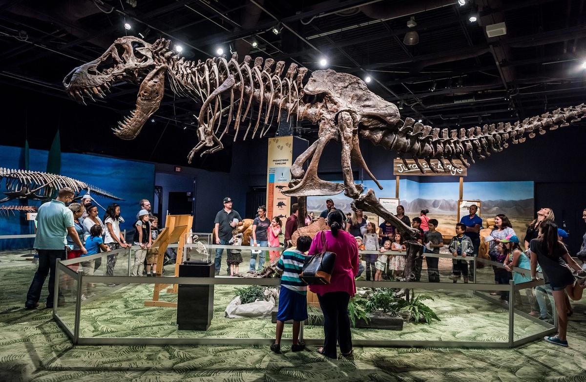 Science Center (Divulgação/ Visit Orlando)