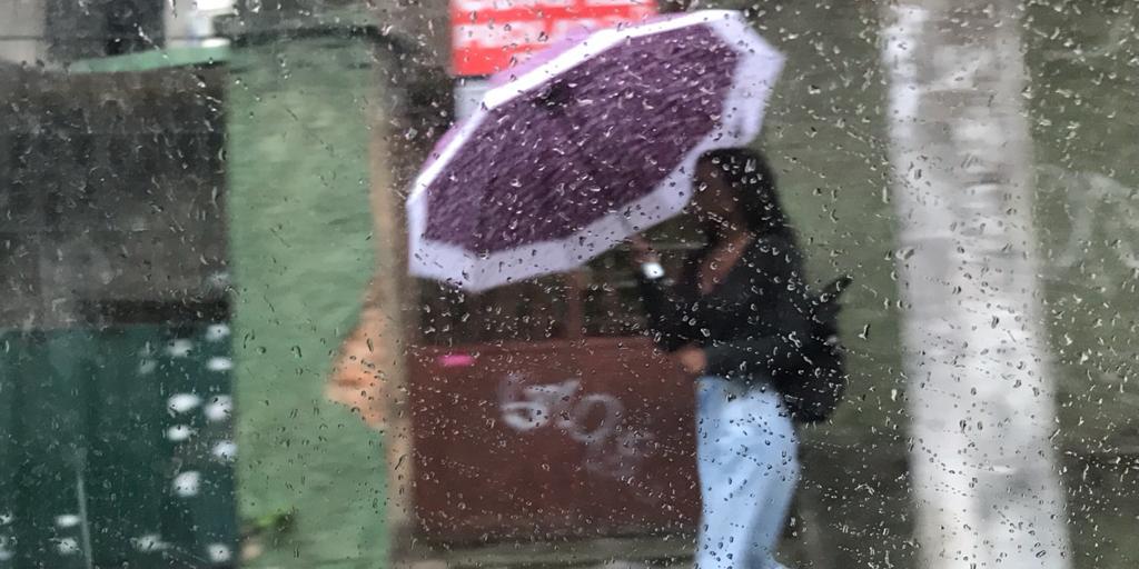 (Valéria Marques/Hoje em Dia)