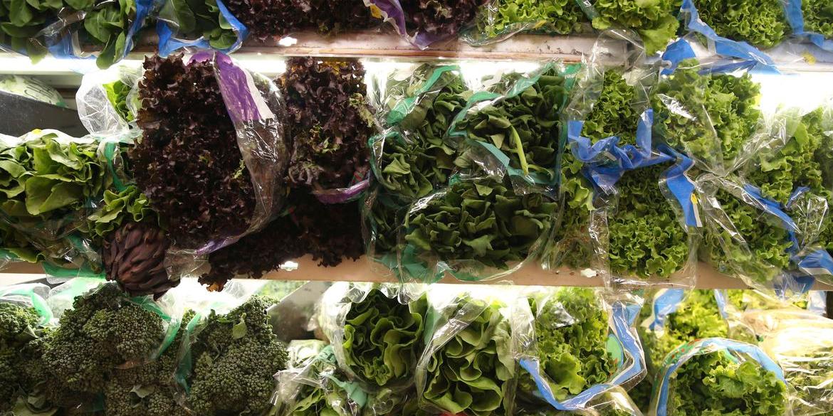 Alface, cenoura, tomate, laranja e melancia custam menos nas Ceasas (Valter Campanato/Agência Brasil)