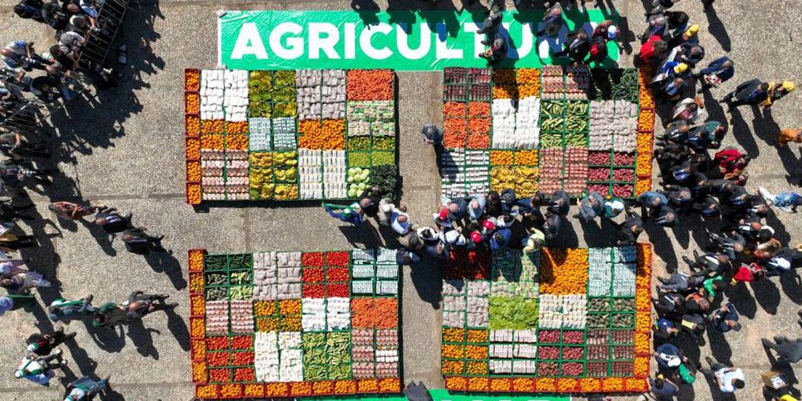 Compras governamentais ajudarão o governo a combater a fome no país (Ricardo Stuckert/PR)