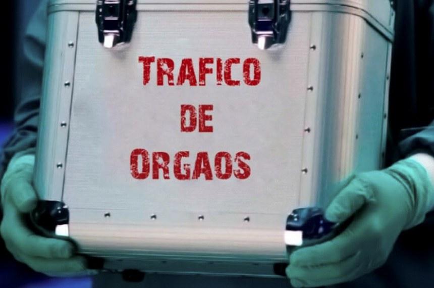 Tráfico de pessoas, exploração sexual e trabalho escravo: uma conexão alarmante no Brasil