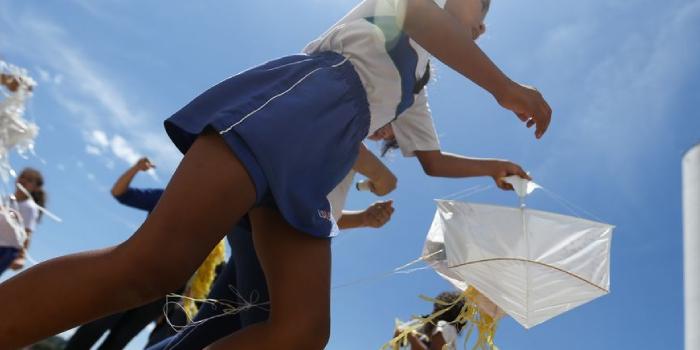 Projeto estipula que a prática de soltar pipa com linha esportiva de competição só pode ser realizada em pipódromo, por pessoa maior de idade ou por adolescente acima de 16 anos (Marcelo Camargo / Agência Brasil)
