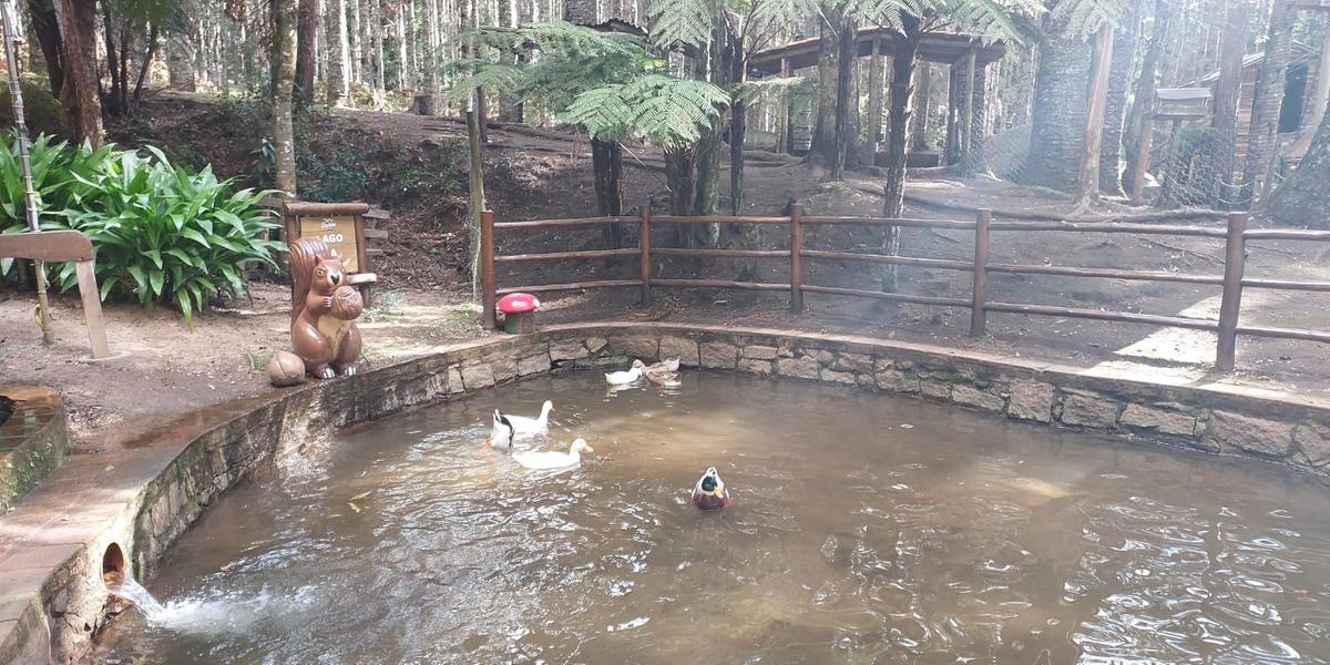 (Monte Verde / Parque Oschin / Divulgação)