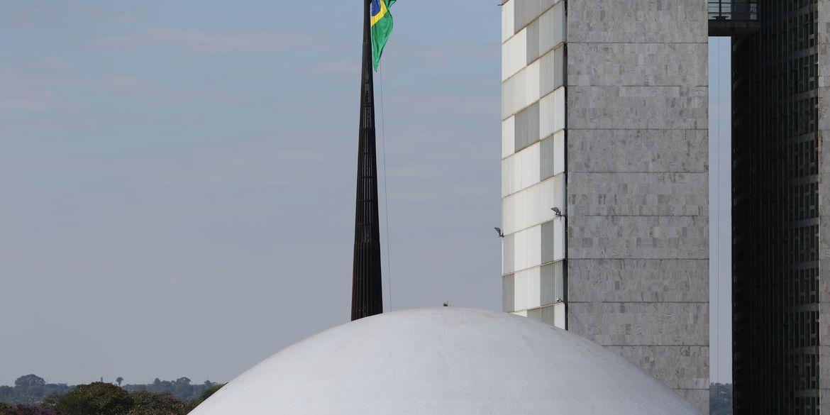 Palácio do Congresso Nacional na Esplanada dos Ministérios em Brasília (Fabio Rodrigues Pozzebom / Agência Brasil)