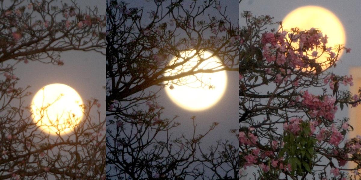 (Montagem Hoje em Dia / Fotos: Maurício Vieira)