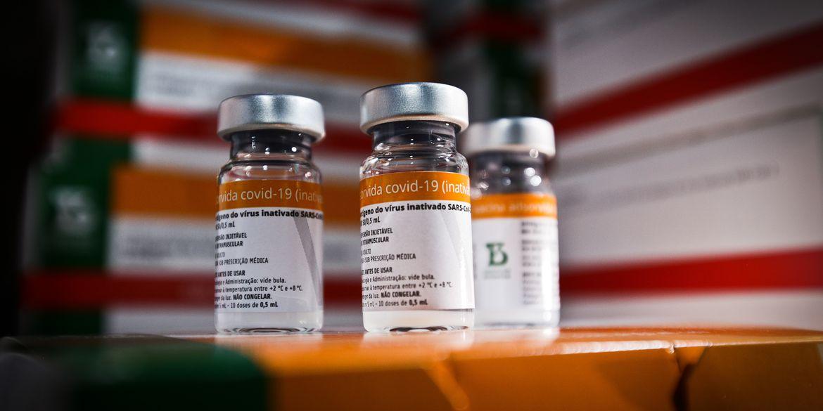 Chegada de 59.800 doses da vacina CoronaVac (17.03.2021) (Breno Esaki / Agência Saúde DF)