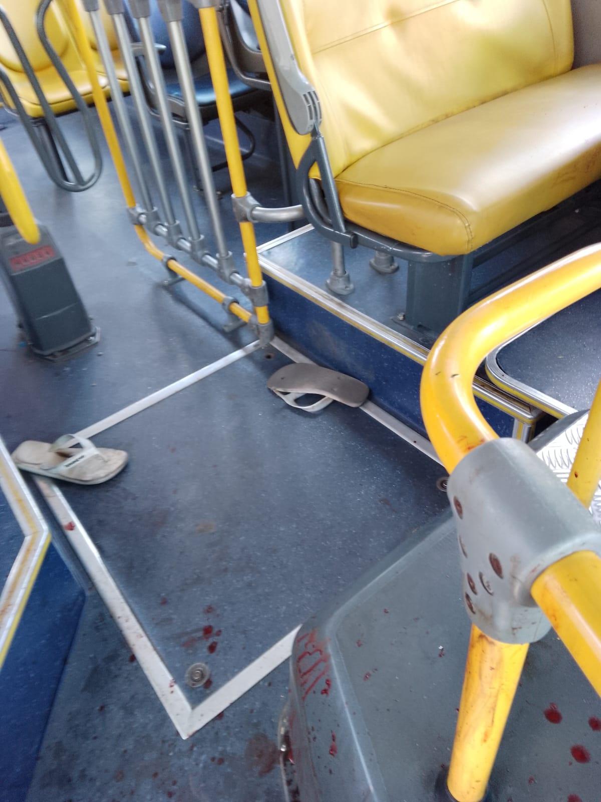 (Guarda Municipal / Hoje em Dia)