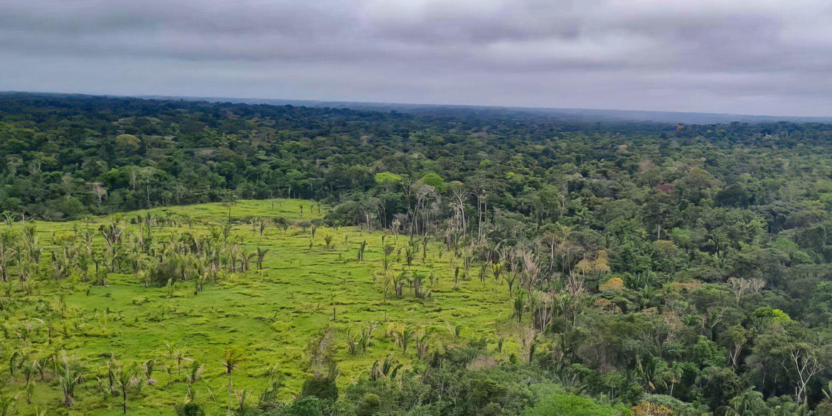 Floresta Nacional do Iquiri (Polícia Federal/Gov.Br)