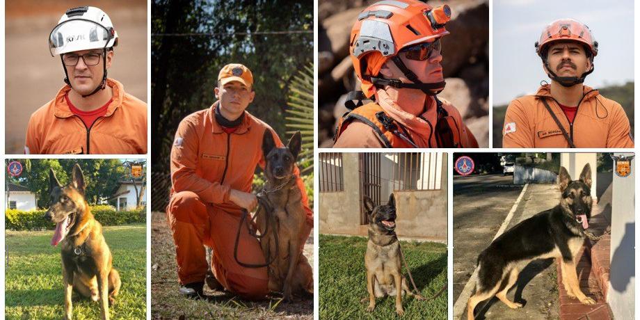 corporação informou que cada cão possui o seu próprio guia, com ampla experiência de atuação em desastres pelo país. (Divulgação CBMMG)