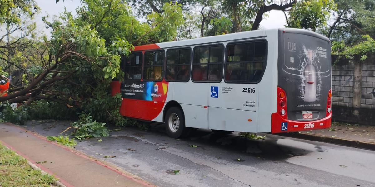 (Divulgação / Setra-BH)
