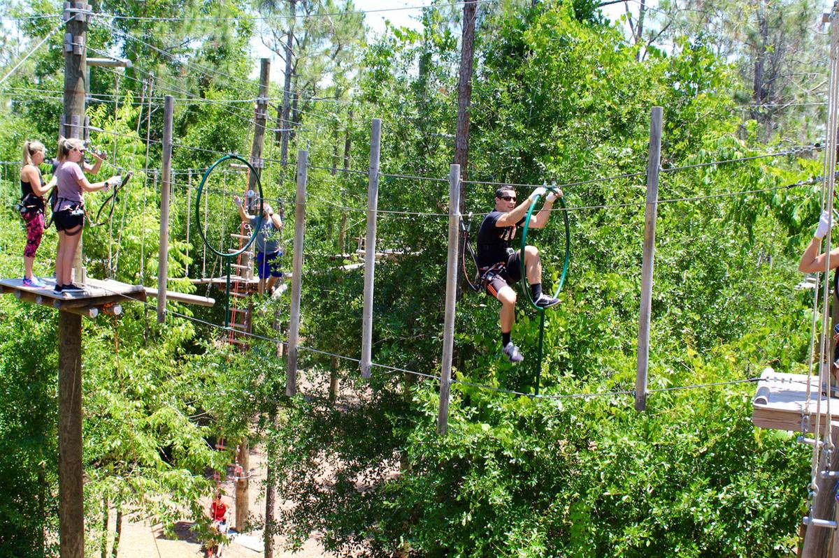 Orlando Tree Trek Adventure Park (Orlando Tree Trek Adventure Park / divulgação)
