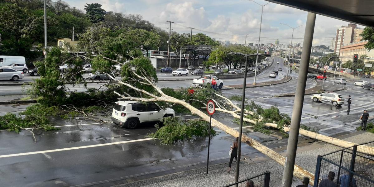 (Maurício Vieira / Hoje em Dia)