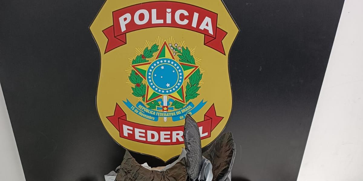 (PF/Divulgação)