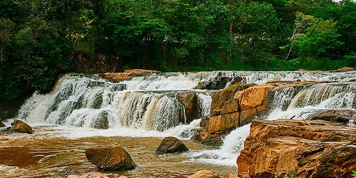 O litoral paulista é um dos que conseguem mais preservar a Mata Atlântica, oferecendo a turistas e visitantes oportunidade única de conhecer e interagir com a exuberante fauna e flora (Sérgio Luiz Jorge / Expressão Stúdio)