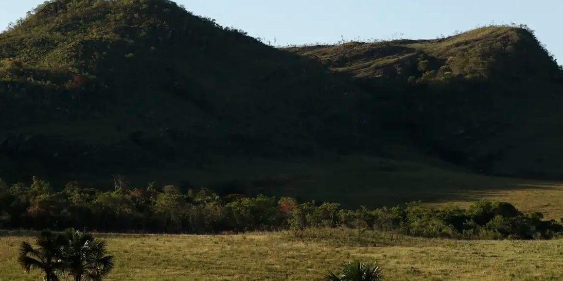 Cavalcante (GO) 12/09/2023 - Vista do cerrado na Comunidade quilombola Kalunga do Engenho II. O cerrado é um dos cinco grandes biomas do Brasil, cobrindo cerca de 25% do território nacional e perfazendo uma área entre 1,8 e 2 milhões de km2 (Joédson Alves / Agência Brasil)