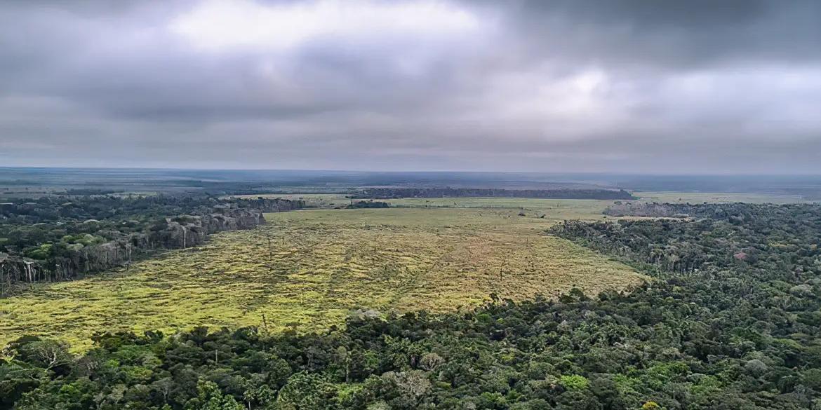 Apesar de terem registrado quedas significativas no desmatamento, Pará, Amazonas e Mato Grosso respondem por 74% da área devastada. Rondônia, Acre e Maranhão também registraram redução. (Divulgação/ Polícia Federal)