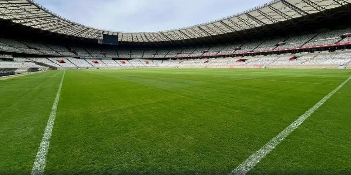 (Divulgação / Mineirão)