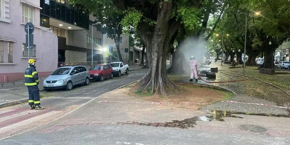 Bombeiros controlam enxame após abelhas atacarem foliões em BH (CBMMG / Divulgação)